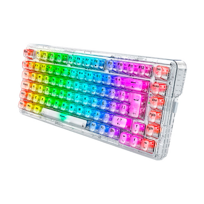 TECLADO REDRAGON MECANICO GAMER ELF PRO RGB CRYSTAL CLEAR TRANSPARENTE K649CT-RGB-PRO PT